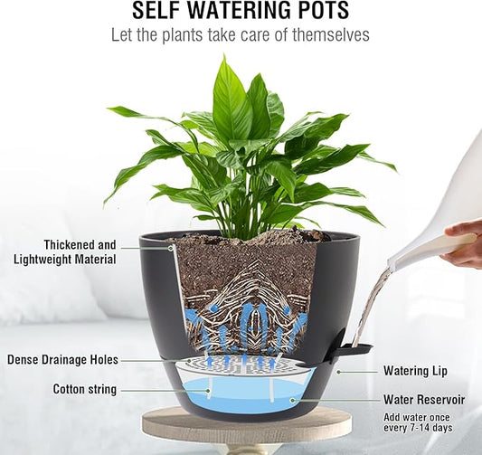 10 inch Self Watering Hanging Planters, 2 Pack Hanging Baskets