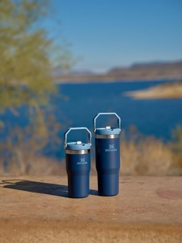 Stanley IceFlow Stainless Steel Tumbler