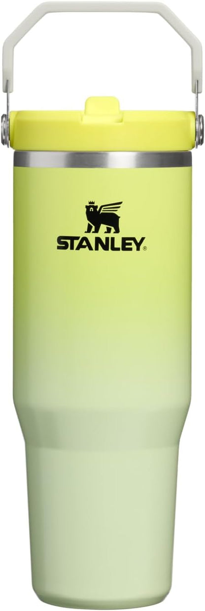 STANLEY IceFlow 2.0 Flip Straw Tumbler, 30 oz, Atomic Gradient | Easy Carry