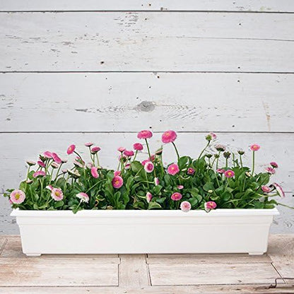 Root & Vessel 16362 Countryside Flower Box Planter
