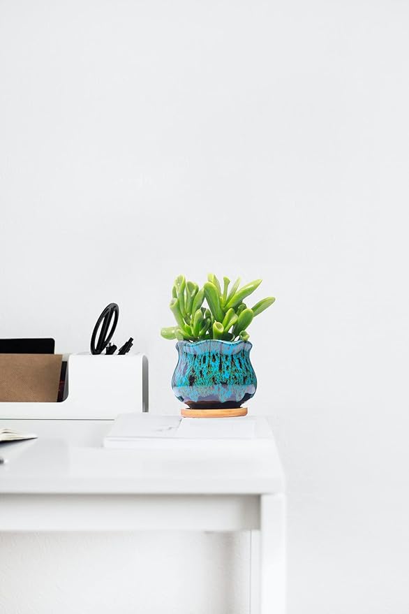 Cute Ceramic Succulent Garden Pots, Planter