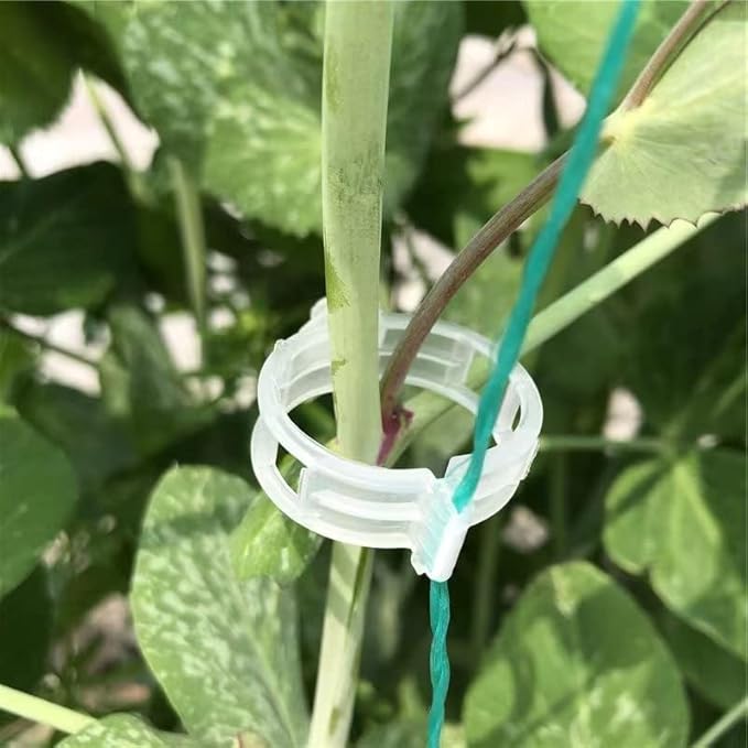 Piteno® 300Pcs Tomato Clips, Plastic Trellis Clips, Plant Support Clips