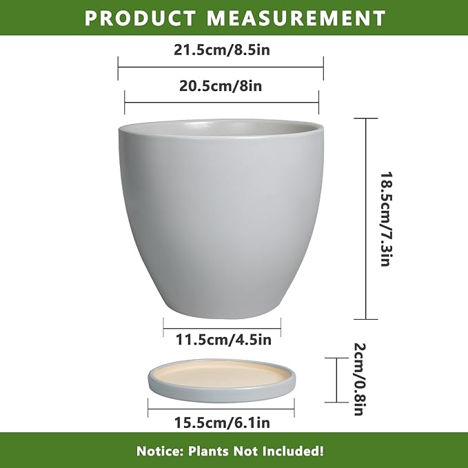 Ceramic Pots for Plants
