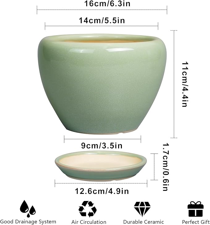 6 Inch Plant Pot
