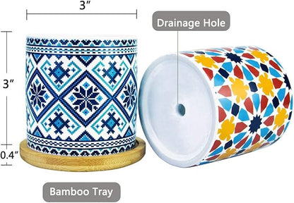 6 Pack Mandala Succulent Plant Pot
