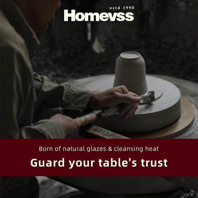 HomeVss 20-Piece Dinnerware Set