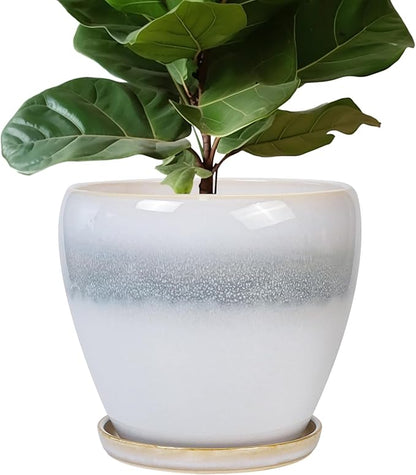 Ceramic Planter