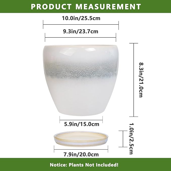 Ceramic Planter