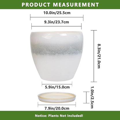 Ceramic Planter