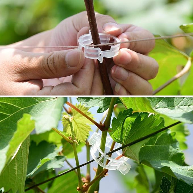 300Pcs Plastic Plant Clip, Plastic Trellis Plant Support Clips
