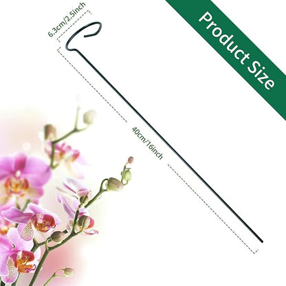 12 Pack Plant Support Stakes