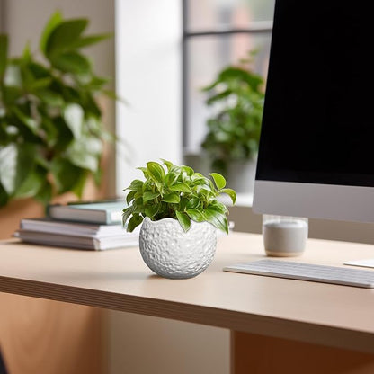 4 inch Plant Pots