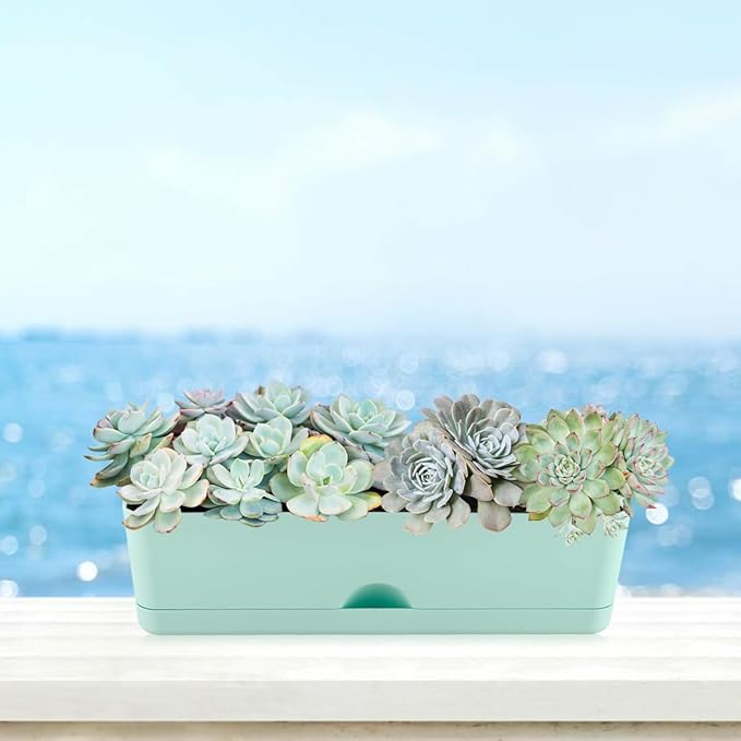 6 Pack Rectangle Planter 16x4.4 Inch Window Boxes Planters Rectangular Large