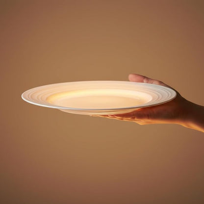 16 Piece Bone China Dinnerware Sets