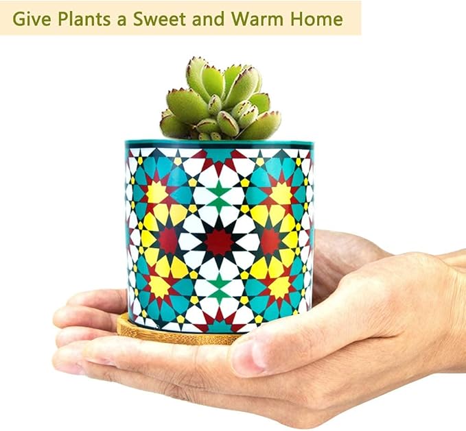 6 Pack Mandala Succulent Plant Pot