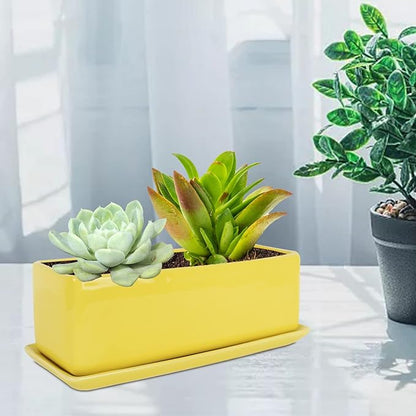 Vencer 12 Inch Rectangular Modern Minimalist Ceramic Succulent Planter Pot