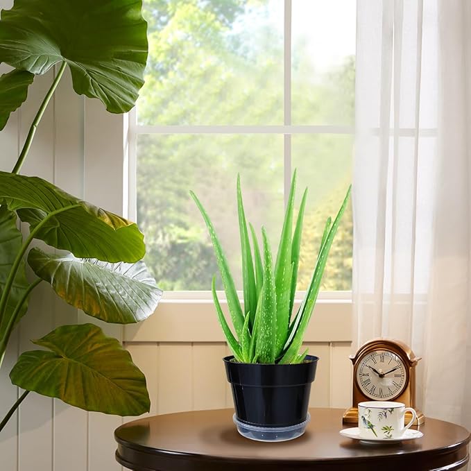 12 Pack Plant Pots, 8 Inch Plant Planter