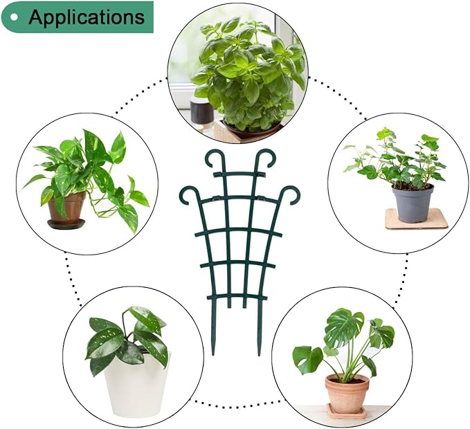 Indoor Small Trellis