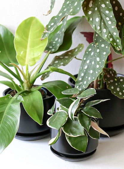 LE TAUCI Ceramic Plant Pots, 4.3+5.3+6.8 inch, Planters