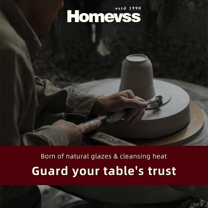 HomeVss 20-Piece Dinnerware Set