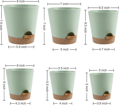 Indoor Self Watering Planters