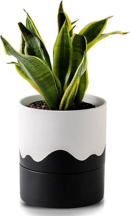 Nihow Self Watering Plant Pot: 6 Inch Ceramic Planter