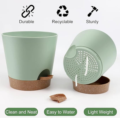 Indoor Self Watering Planters