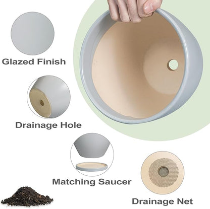 Ceramic Pots for Plants