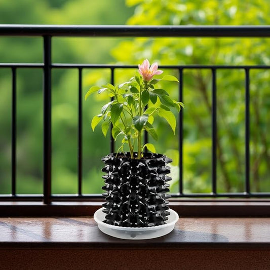1 Gallon Air Pruning Containers, New Plastic Nursery Pots, Fruit Vegetable