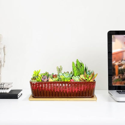 Succulent Pots - 12 Inch Large Succulent Planters
