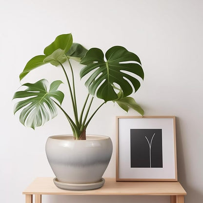 Planter Pot 6 Inch