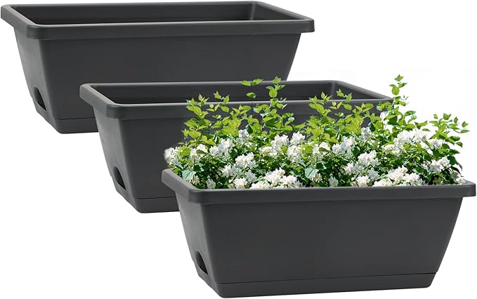 GREANER Rectangular Window Boxes