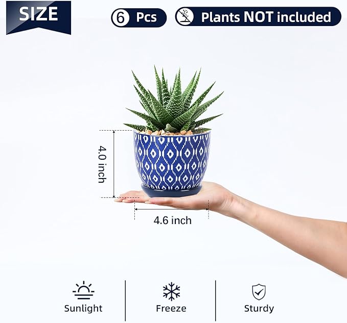 Selamica Ceramic Succulent Pots, 4.6 Inch Small Plant Pots
