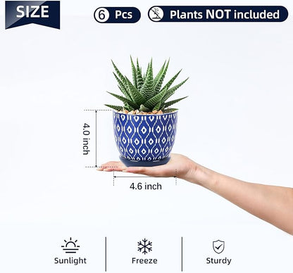 Selamica Ceramic Succulent Pots, 4.6 Inch Small Plant Pots