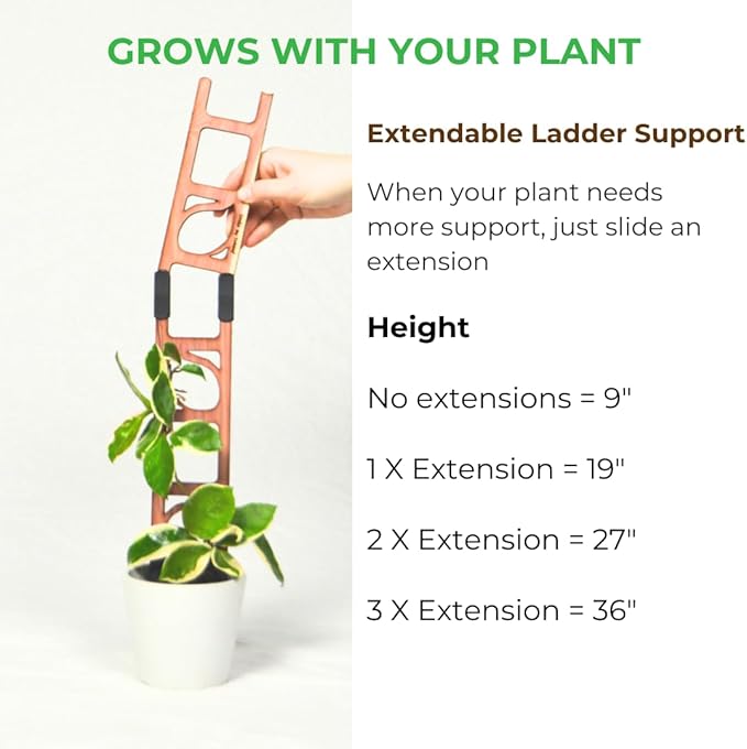Treleaf Stella Extendable Ladder Trellis