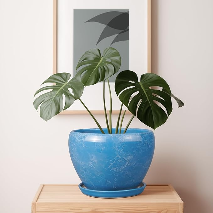 10 Inch Planter Pot