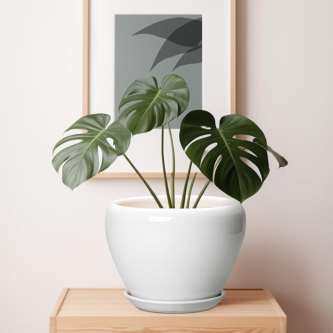 Ceramic Pot for Plants