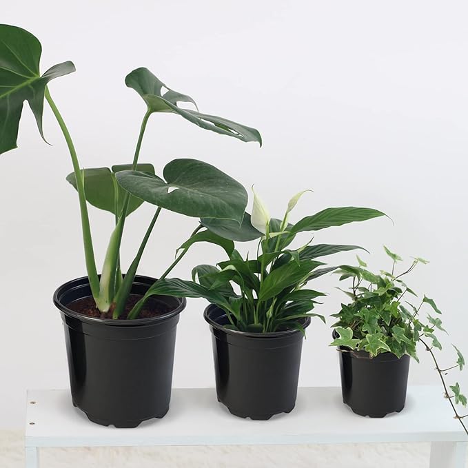 RAOOKIF 50 Pack Nursery Pots, 3 Inch Nursery Pot