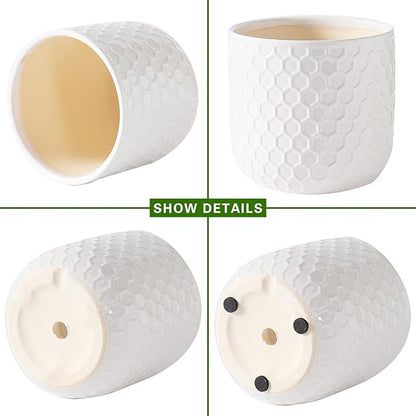 Docrin Ceramic Planters Indoor, 8 Inch Plant Pot