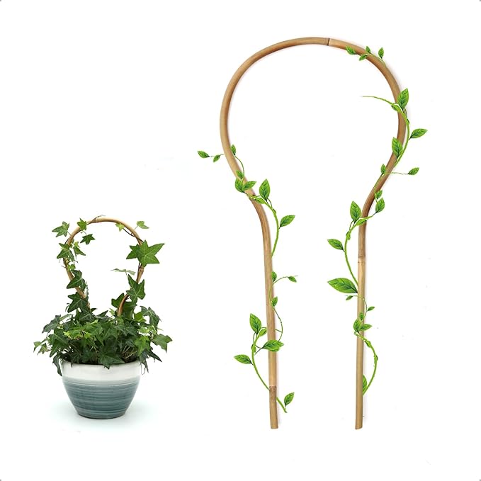 3Pack Bamboo Trellis 16 Inch Round Shaped Small Plant Trellis