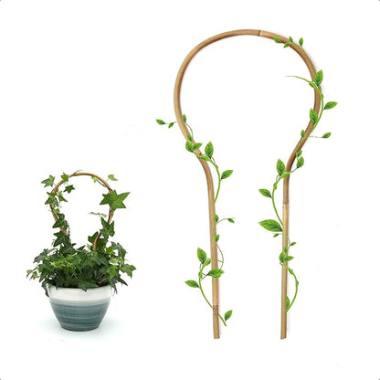3Pack Bamboo Trellis 16 Inch Round Shaped Small Plant Trellis