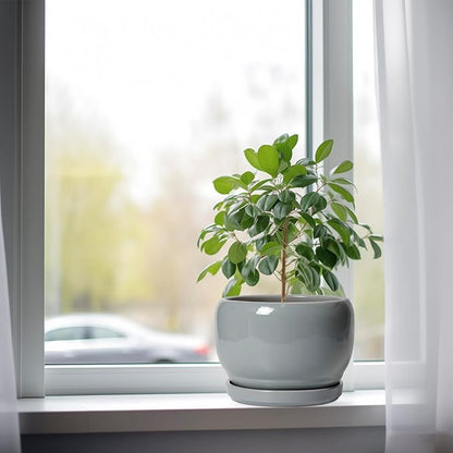 SQOWL Ceramic Pot for Plants