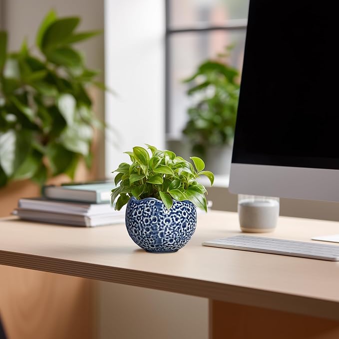 4 inch Plant Pots