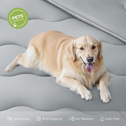 EASELAND All Season Cooling Comforter Queen, Cold Touch Fabric Absorbs Body Heat, 300GSM Super Soft, Cooling Blanket for Night Sweats Hot Sleeper (Gray-All Season, Queen(90"x90"))
