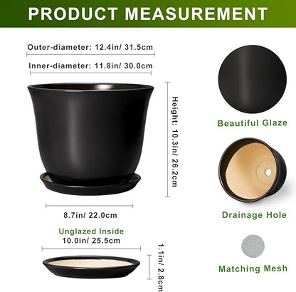 Ceramic Plant Pots