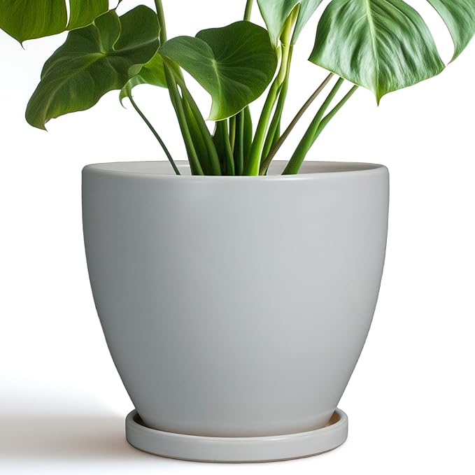 Ceramic Pots for Plants