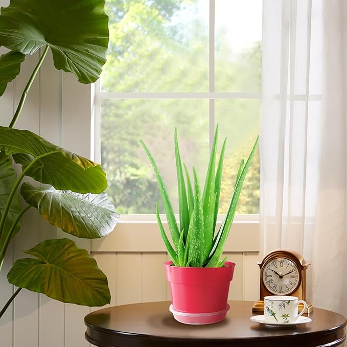 8 inch Plastic Flower Pots