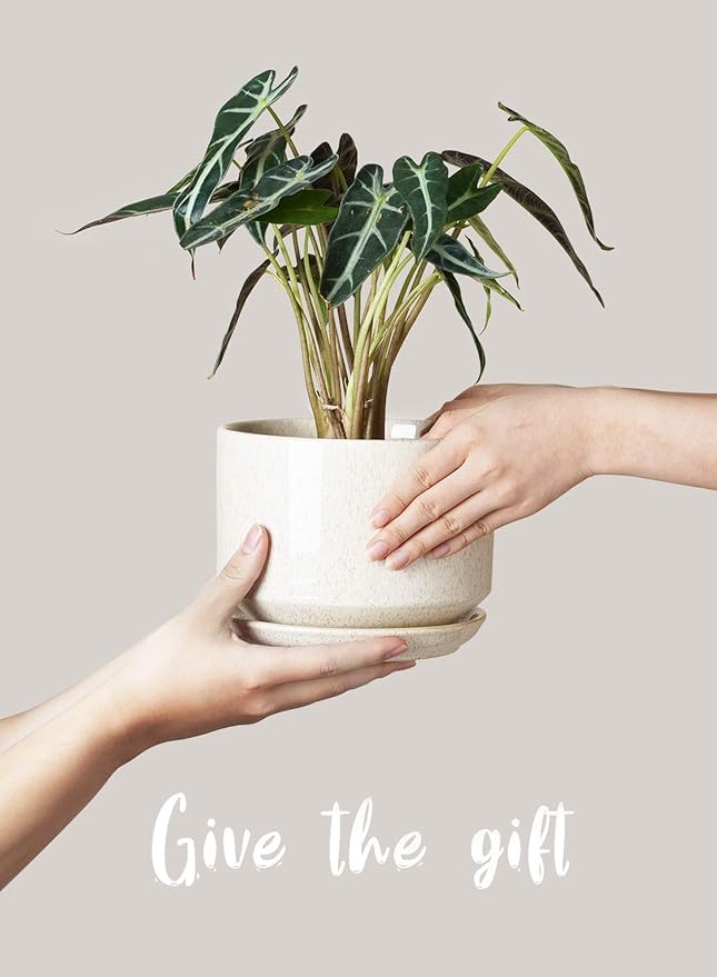 LE TAUCI Ceramic Plant Pots, 4.3+5.3+6.8 inch, Planters