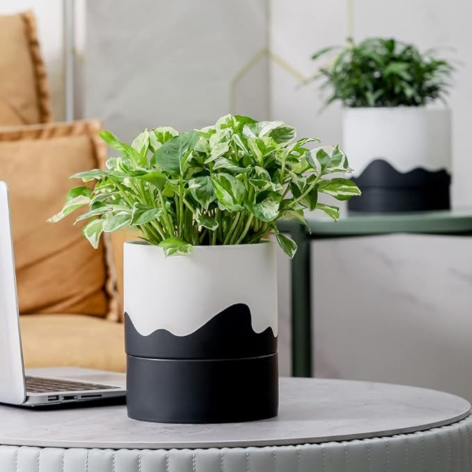 Nihow Self Watering Plant Pot: 6 Inch Ceramic Planter