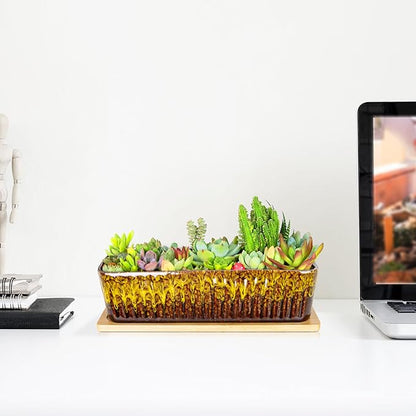 Succulent Pots - 12 Inch Large Succulent Planters